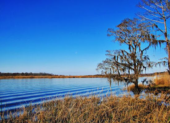 alabama/alabama-coastal-birding-trail/attraction/historic-blakeley-state-park