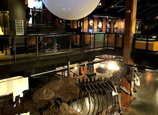 texas/sugar-land/attraction/houston-museum-of-natural-science-at-sugar-land