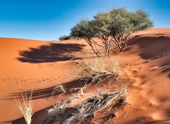 namibia/namib-desert/attraction/elim-dune
