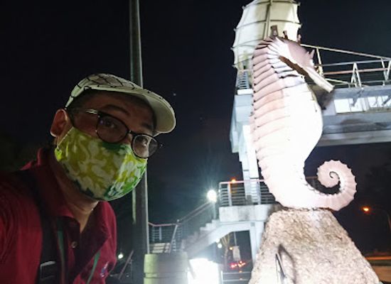 malaysia/miri/attraction/seahorse-statue