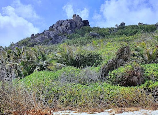 seychelles/la-digue-island/attraction/anse-aux-cedres