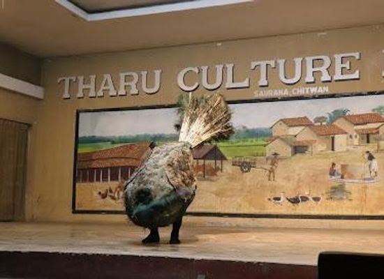 nepal/bandipur/attraction/new-sauraha-tharu-cultural-house