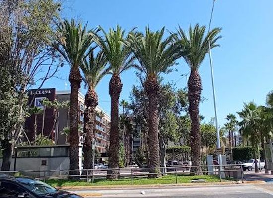 mexico/tijuana/attraction/prol-paseo-de-los-heroes