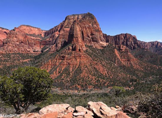 utah/book-cliffs/attraction/kolob-view-point