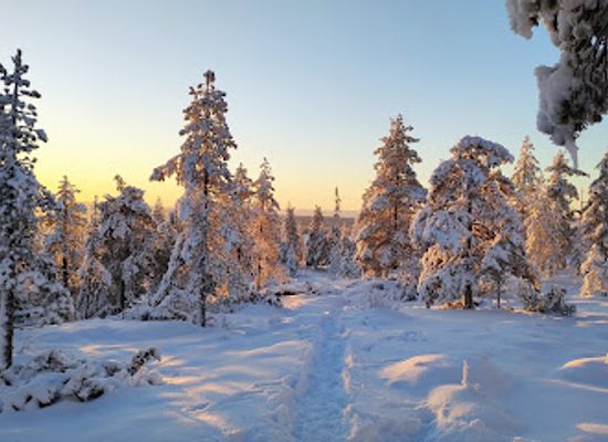 sweden/lapland/attraction/balingeberget