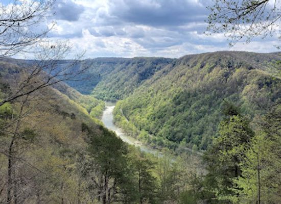 west-virginia/new-river-gorge-national-park-and-preserve/attraction/wolf-creek-falls