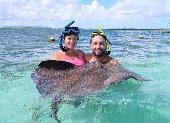 antigua-and-barbuda/indian-town-point/attraction/stingray-antigua