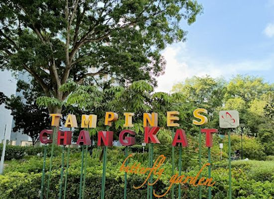 singapore/tampines/attraction/tampines-changkat-butterfly-garden