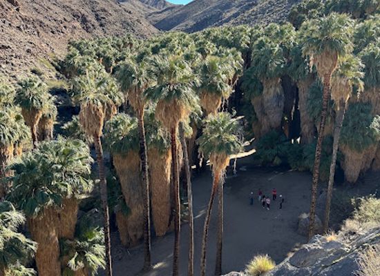 california/palm-springs/attraction/indian-canyons