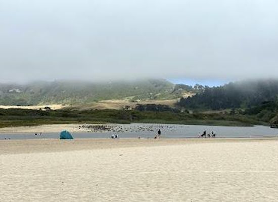 california/monterey/attraction/carmel-river-state-beach