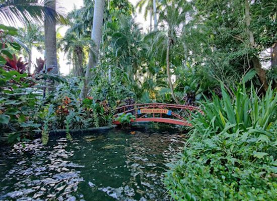 florida/st-petersburg/attraction/sunken-gardens