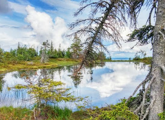 finland/ruka/attraction/riisitunturi-national-park