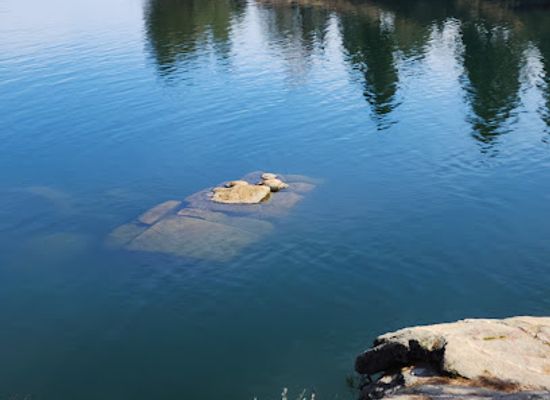 washington/spokane-river/attraction/camp-sekani-gravel-lot