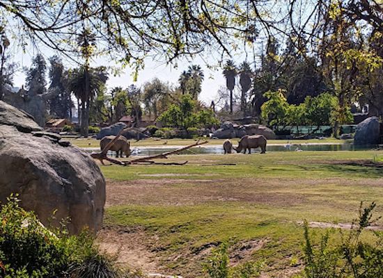 california/fresno/attraction/roeding-park