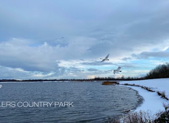 united-kingdom/yorkshire-and-the-humber/attraction/anglers-country-park