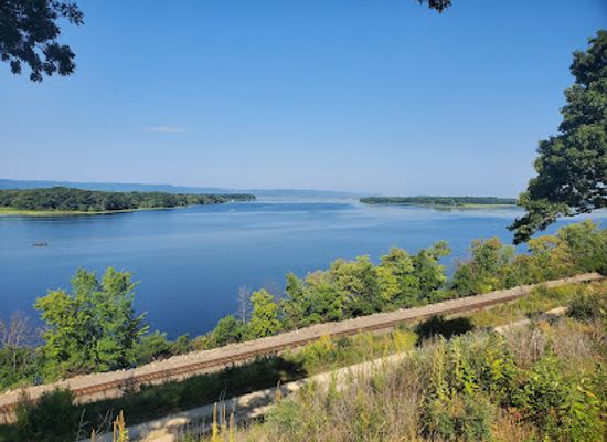 wisconsin/great-river-road/attraction/sunny-the-sunfish