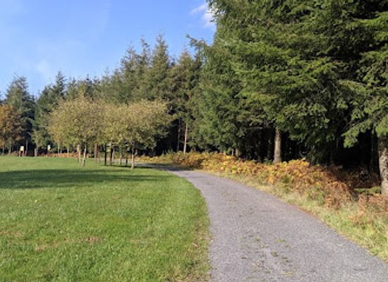 belgium/condroz/attraction/paix-woods