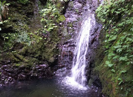 japan/musashi/attraction/kongo-falls