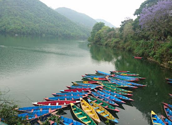 nepal/pokhara/lakeside/attraction/team-5-nepal-paragliding