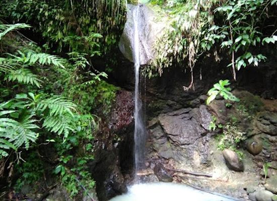 saint-lucia/laborie-quarter/attraction/cozy-falls-jetwin-la-haut