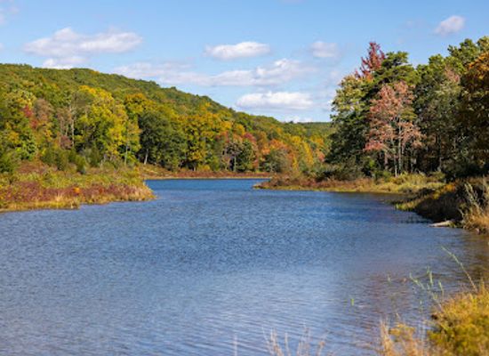 new-jersey/delaware-water-gap-national-recreation-area/attraction/millbrook-village-historic-site