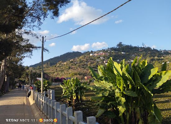 madagascar/fianarantsoa/attraction/jardin-botanique-anosy