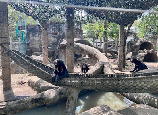 cambodia/takeo/attraction/wildlife-alliance-behind-the-scenes-tour-at-phnom-tamao