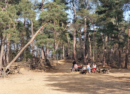 belgium/antwerpse-kempen/attraction/kabouterberg