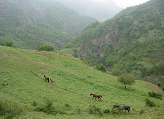 azerbaijan/talysh-mountains/attraction/agh-gol-national-park