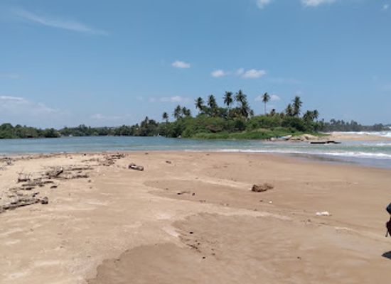 sri-lanka/matara/attraction/nilawala-estuary