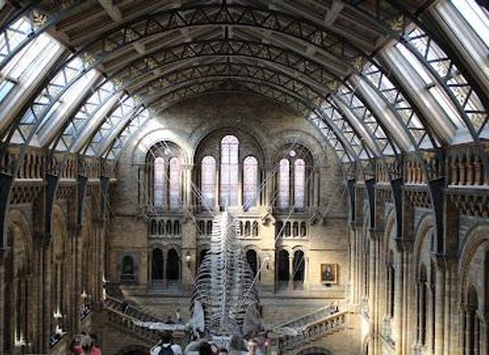united-kingdom/london/attraction/natural-history-museum