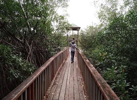 saint-vincent-and-the-grenadines/union-island/attraction/levera-national-park