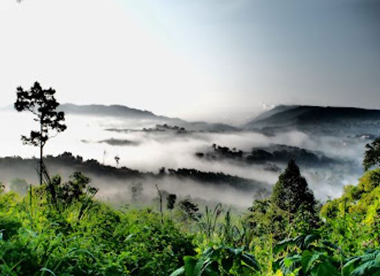 thailand/phetchabun-mountains/attraction/khao-kho-sacrifice-memorial