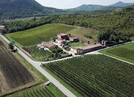 italy/veneto/attraction/vini-loreggian