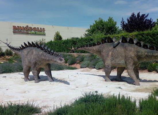 spain/teruel/attraction/aragones-museum-of-paleontology