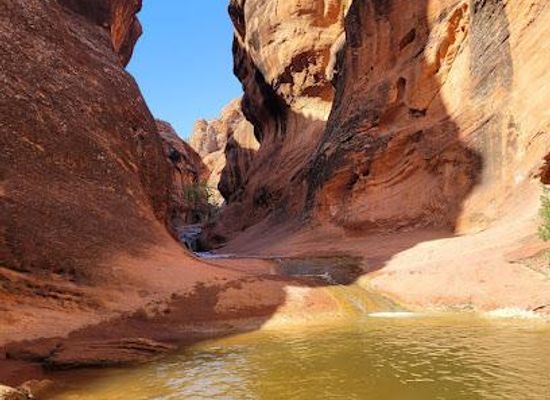 utah/st-george/attraction/red-cliffs-national-conservation-area