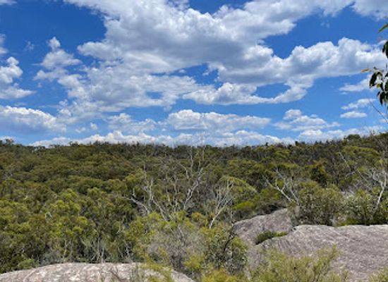 australia/southern-highlands/attraction/wishing-well