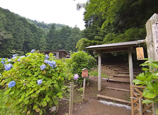 japan/kai/attraction/izu-kogen-iris-garden