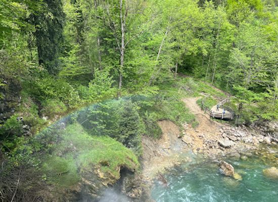 slovenia/triglav-national-park/attraction/vintgar-gorge
