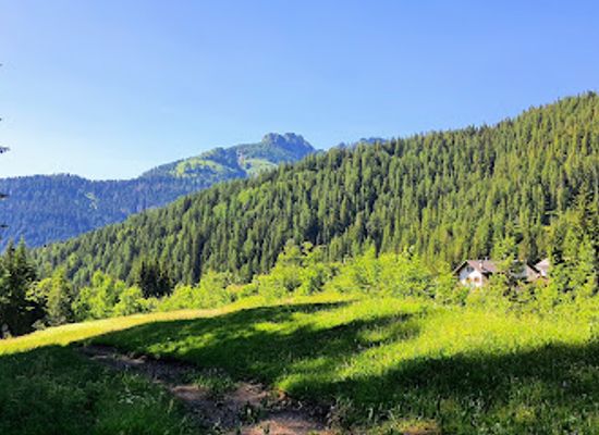 italy/dolomites/attraction/sentiero-geologico-di-falcade