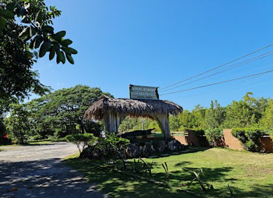 jamaica/north-coast/attraction/jamaica-swamp-safari