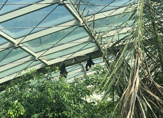 austria/vienna-woods/attraction/rainforest-house