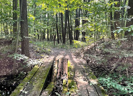 michigan/southwest-michigan/attraction/jens-jensen-nature-preserve