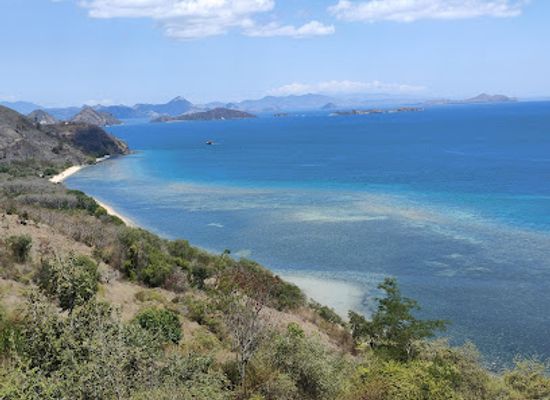 indonesia/komodo-national-park/attraction/pondok-pohon-tanjung-bunga