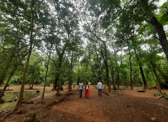 burkina-faso/cascades/attraction/parc-urbain-bangr-weoogo