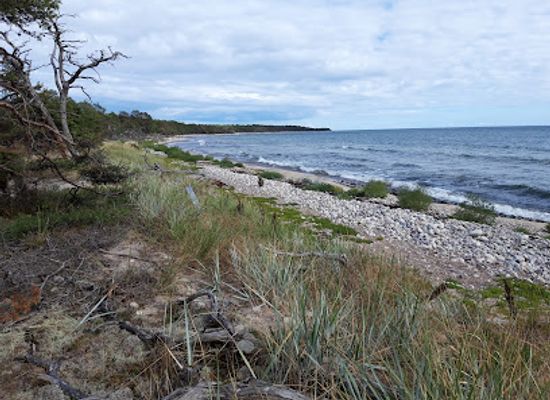 sweden/blekinge/attraction/foreningen-boda-skogsjarnvag