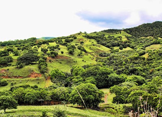 mauritius/agalega/attraction/bel-ombre-nature-reserve