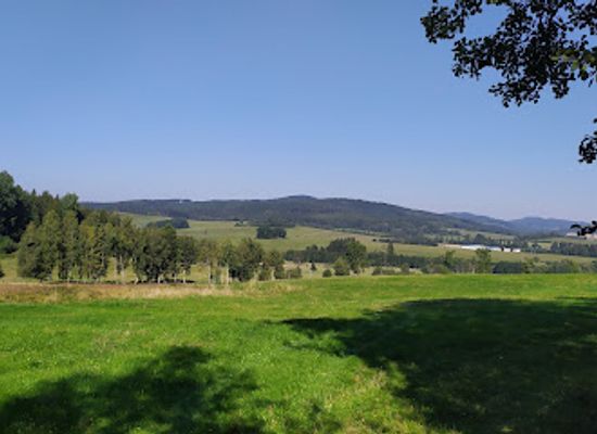 germany/oberpfälzer-wald/attraction/cesky-les-protected-landscape-area