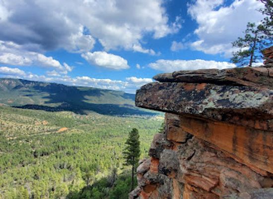 arizona/tonto-national-forest/attraction/bearfoot-trailhead