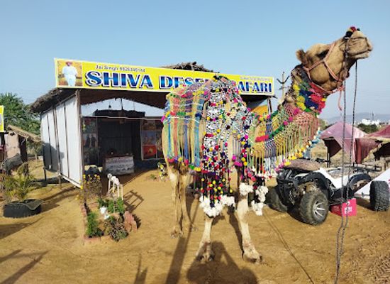 india/pushkar/attraction/shiva-camel-safari